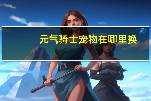 元气骑士宠物在哪里换