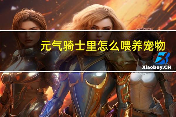 元气骑士里怎么喂养宠物