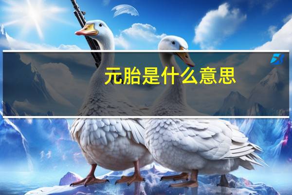 元胎是什么意思