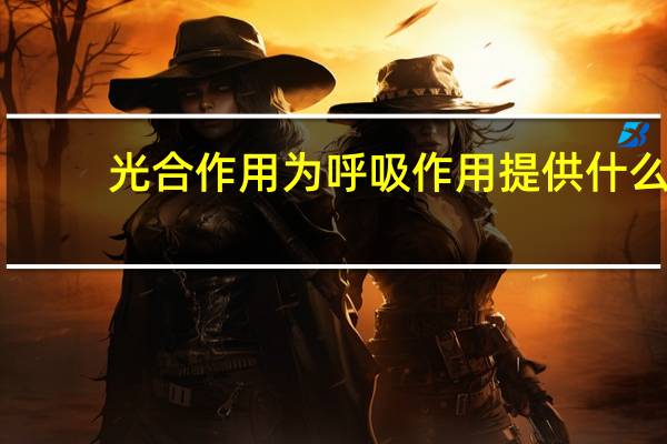 光合作用为呼吸作用提供什么