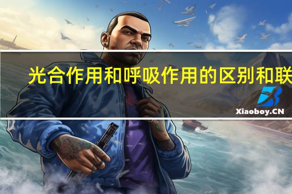 光合作用和呼吸作用的区别和联系
