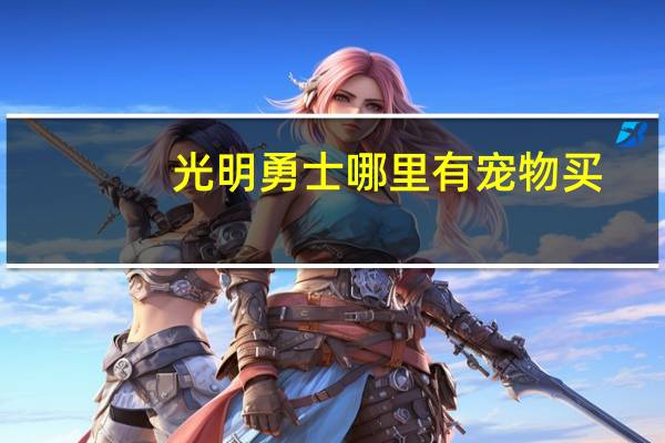 光明勇士哪里有宠物买