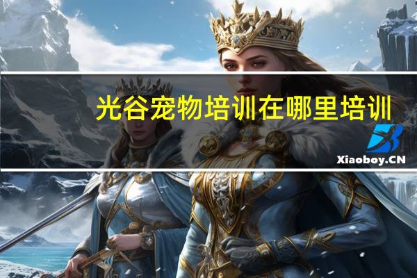 光谷宠物培训在哪里培训