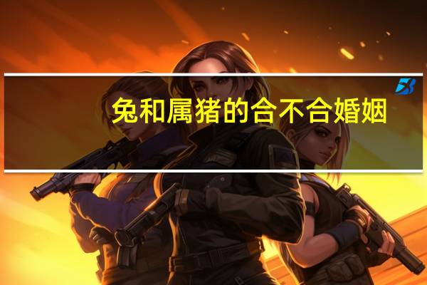 兔和属猪的合不合婚姻