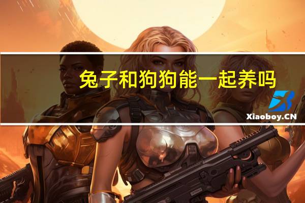 兔子和狗狗能一起养吗