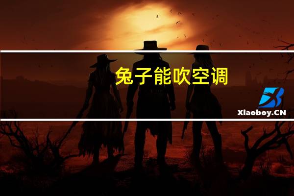 兔子能吹空调