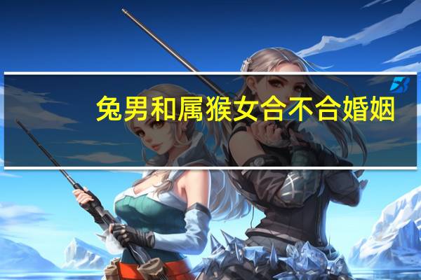 兔男和属猴女合不合婚姻