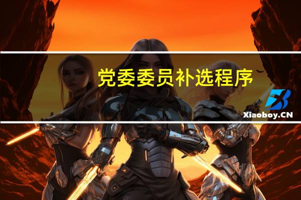 党委委员补选程序