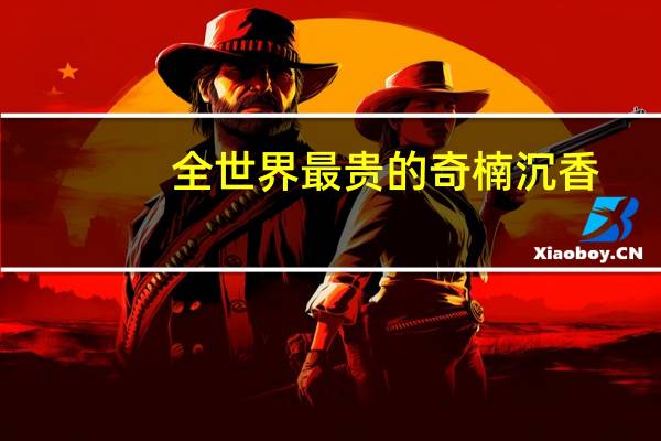 全世界最贵的奇楠沉香