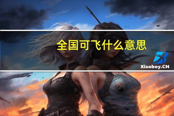 全国可飞什么意思