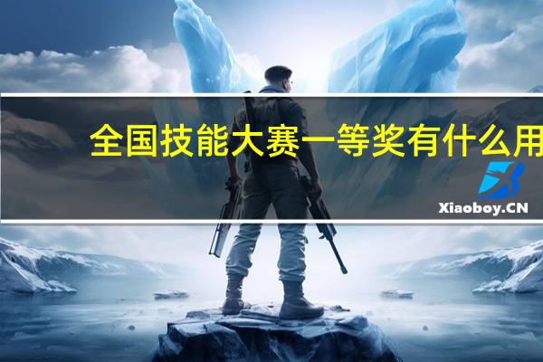全国技能大赛一等奖有什么用