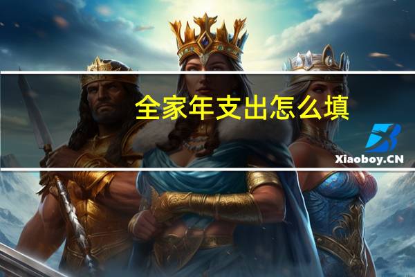 全家年支出怎么填