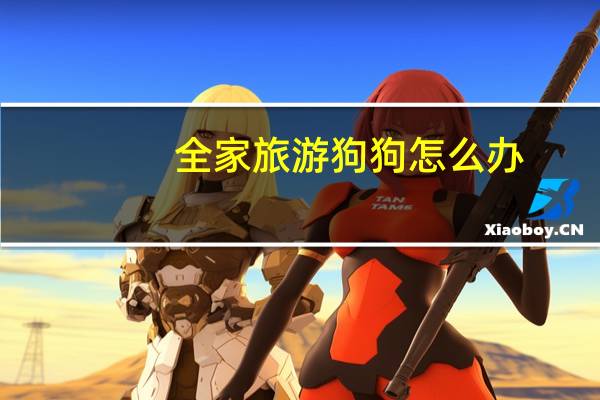 全家旅游狗狗怎么办