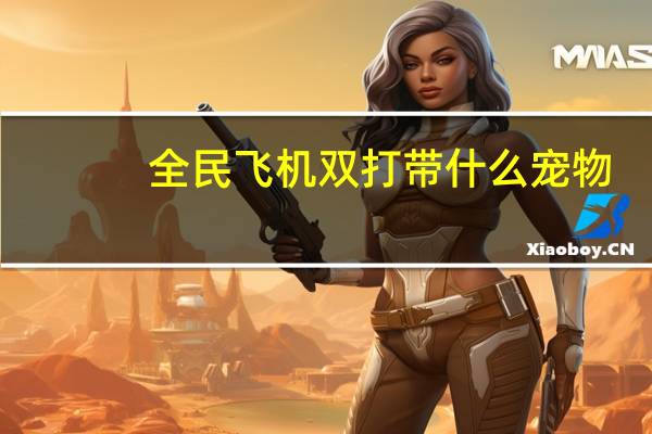 全民飞机双打带什么宠物
