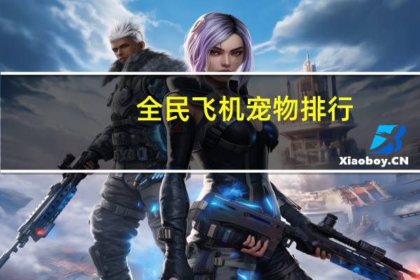 全民飞机宠物排行