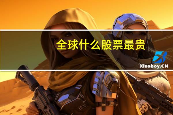 全球什么股票最贵