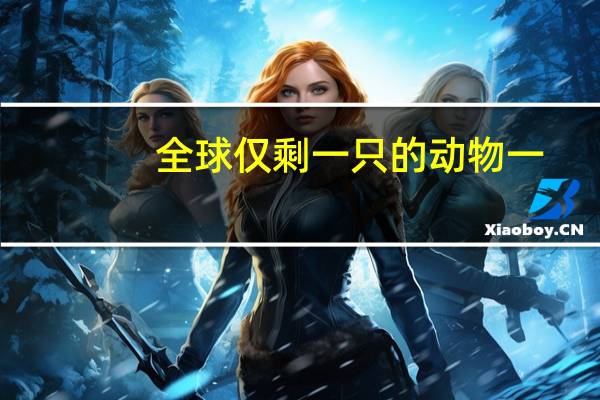 全球仅剩一只的动物一