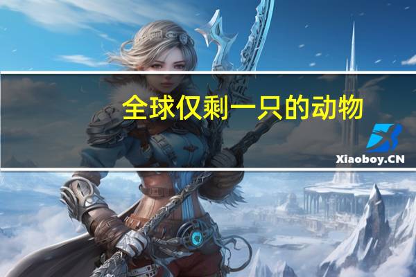 全球仅剩一只的动物