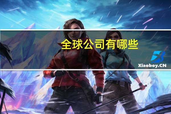 全球公司有哪些