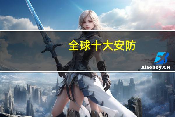全球十大安防