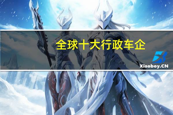 全球十大行政车企