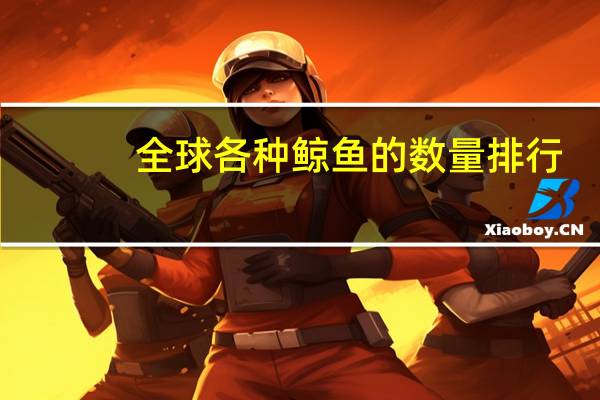 全球各种鲸鱼的数量排行