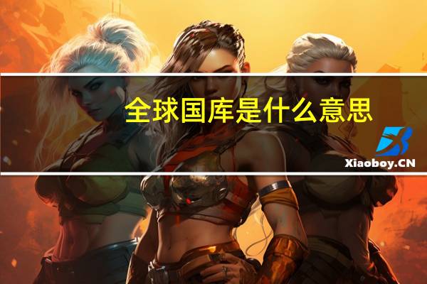 全球国库是什么意思