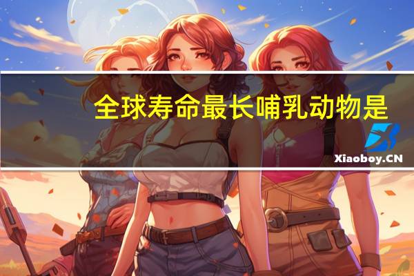 全球寿命最长哺乳动物是