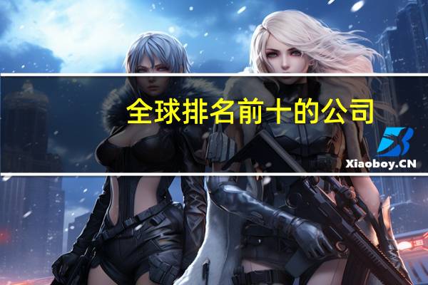 全球排名前十的公司