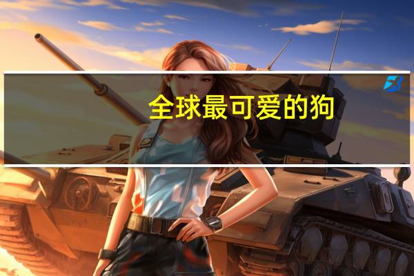 全球最可爱的狗