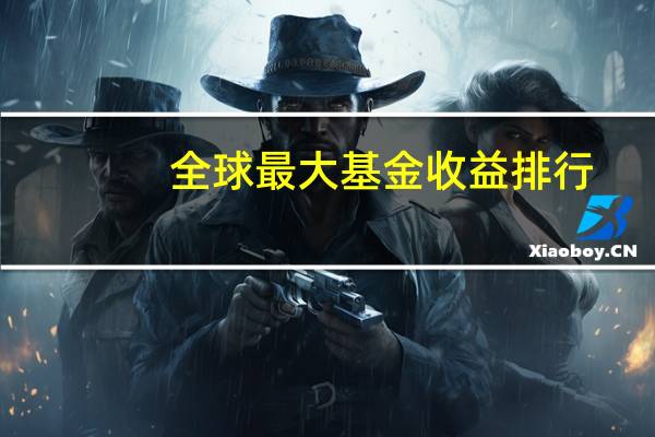全球最大基金收益排行