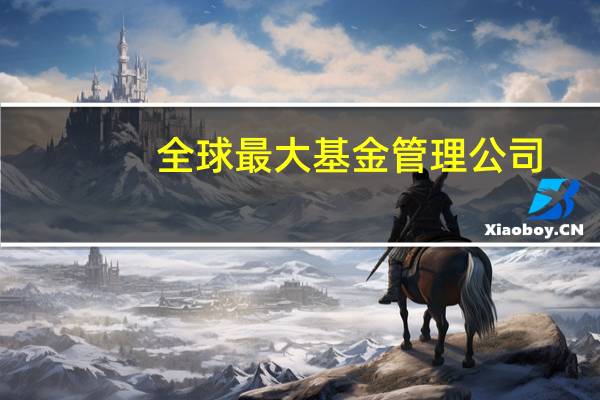 全球最大基金管理公司