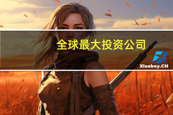 全球最大投资公司