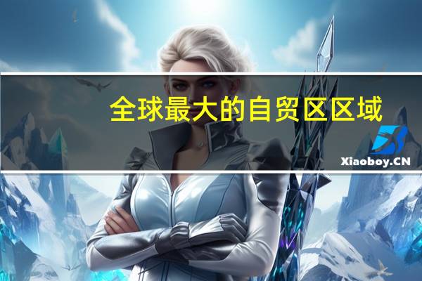 全球最大的自贸区区域