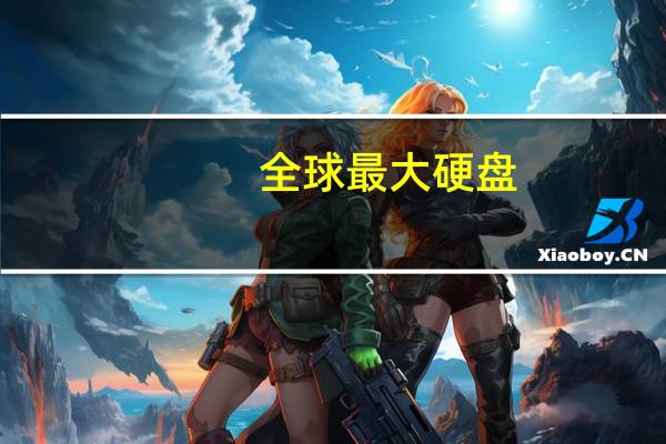 全球最大硬盘