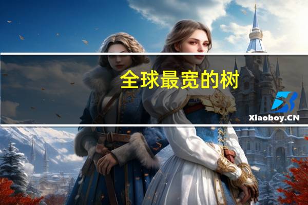 全球最宽的树