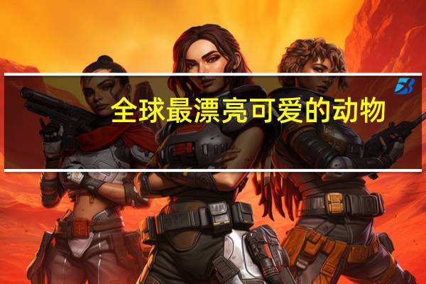 全球最漂亮可爱的动物