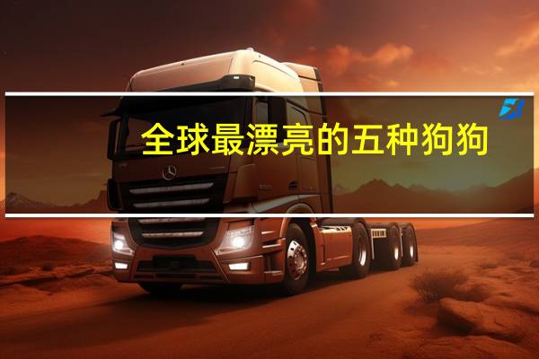 全球最漂亮的五种狗狗