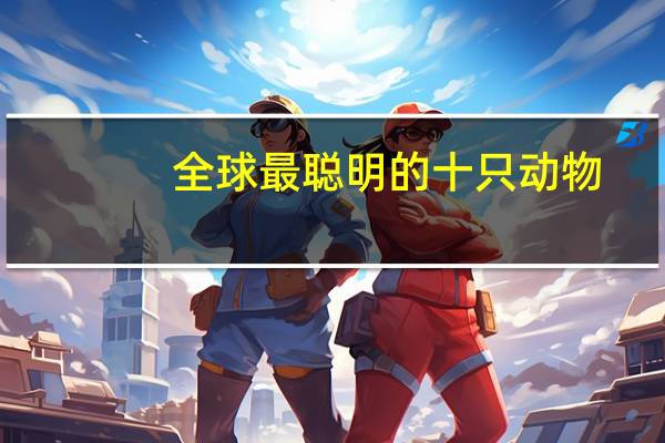 全球最聪明的十只动物