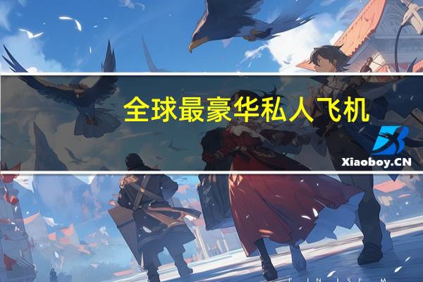 全球最豪华私人飞机