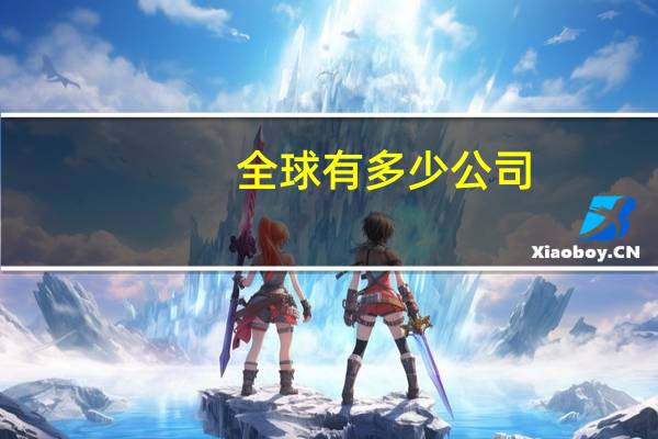 全球有多少公司
