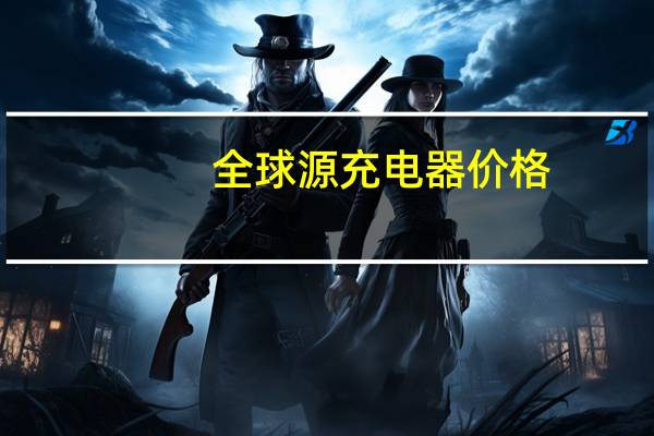全球源充电器价格