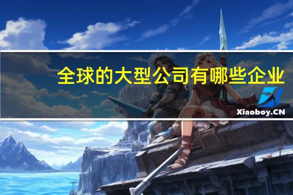 全球的大型公司有哪些企业