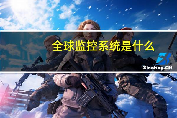全球监控系统是什么