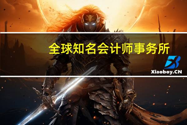全球知名会计师事务所