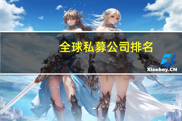 全球私募公司排名