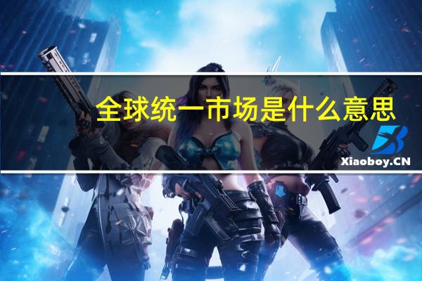 全球统一市场是什么意思