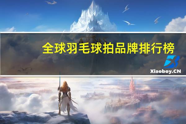 全球羽毛球拍品牌排行榜
