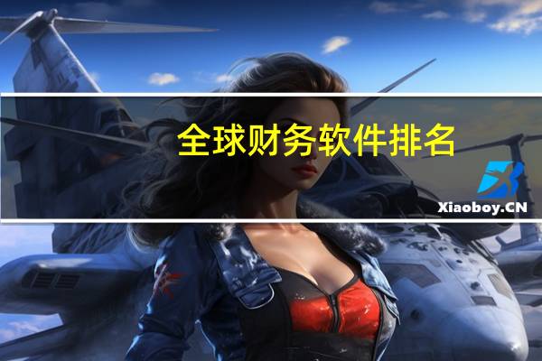 全球财务软件排名
