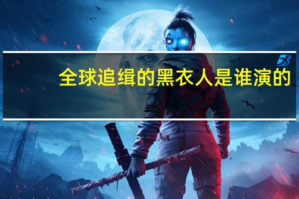 全球追缉的黑衣人是谁演的